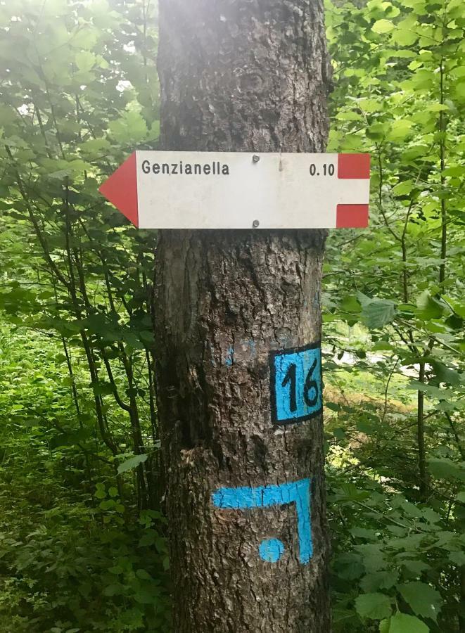 Genzianella Molveno-Andalo 아파트 외부 사진